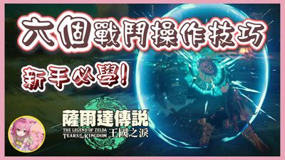 烏龜喜歡什麼顏色|【新手必看】烏龜怎麽養？烏龜品種、禁忌、用品清單…